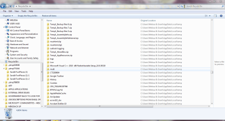 recycle bin 3.PNG