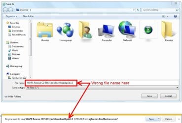 DL Window.JPG