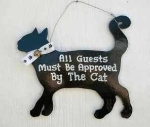 Cat.png Cat.png