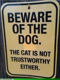Beware of dog.jpg