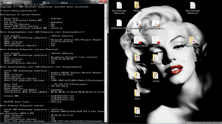 ipconfigall1.png