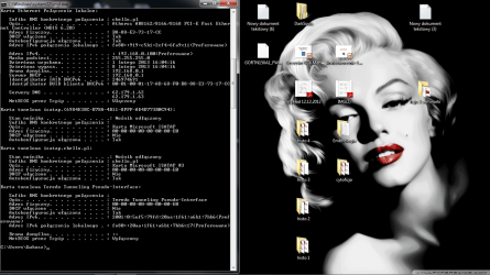 ipconfigall2.png