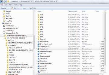 runtime download to hard drive1.PNG