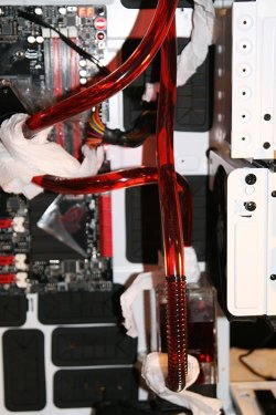 Dragon_4.jpg
