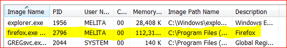 TM FIREFOX.PNG