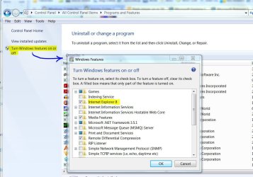 Features - IE.JPG