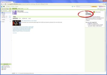 Google Chrome Screen Shot.jpg