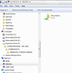 network capture melissa.PNG