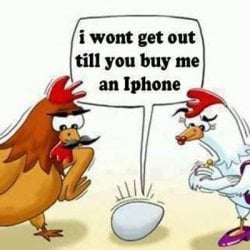 iPhone.jpg