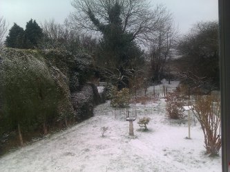IMAG0024.jpg