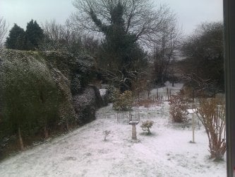 IMAG0024.jpg