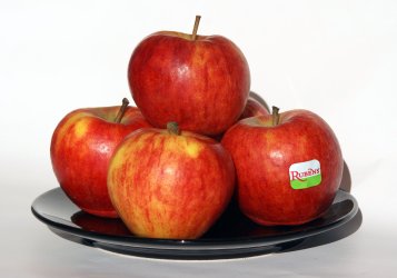 Rubens_apples_on_plate.jpg Rubens_apples_on_plate.jpg