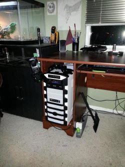 IMG_20130412_213102.jpg