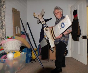 P51.jpg
