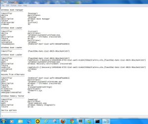 Capture bcd 01 2_5_13.JPG
