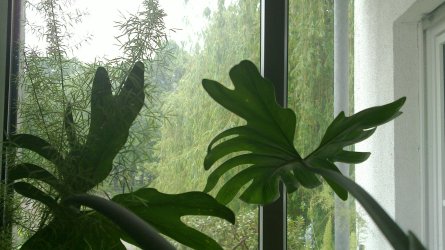 20130522_002.jpg