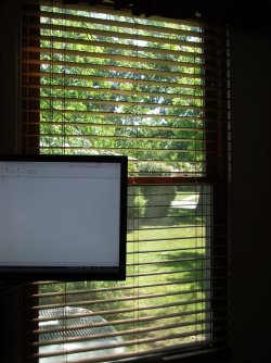 DSCF0289.JPG