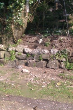 2013-03-05 12.37.55.jpg