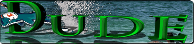 dude2.png