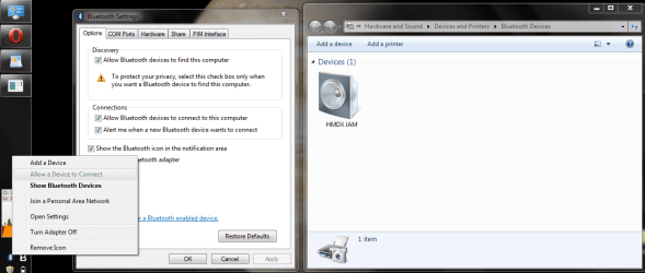 screenshot 2- Allow a Device to Connect.png