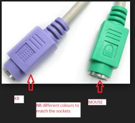 PS1.PNG