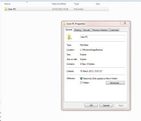 Backup Properties.JPG