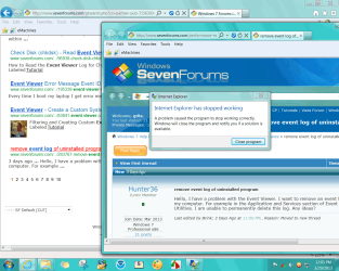 2013-03-29_120317 _ IE has stopped working notice AGAIN.png