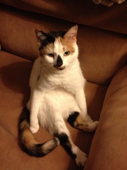 Bella 2.jpg