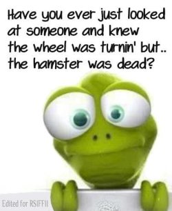 dead hampster.jpg dead hampster.jpg
