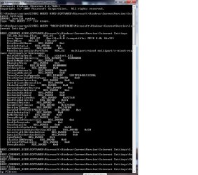command prompt response2.jpg