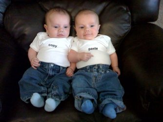 copy paste twins.jpg