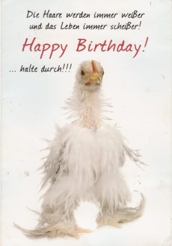 bday.jpg