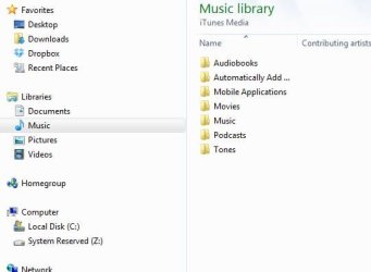 iTunesfolderCapture.JPG