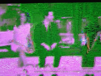WMC green.JPG