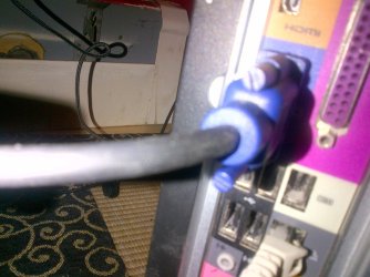 IMG-20130528-01113.jpg