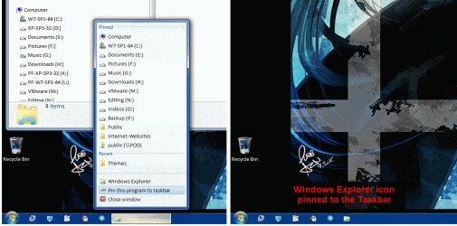 Pin Explorer.gif Pin Explorer.gif