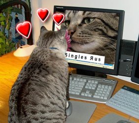 Hearts.jpg