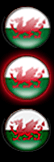 Wales start1.png Wales start1.png