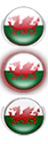 wales start.png wales start.png