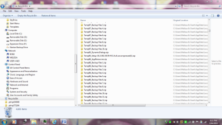 RECYCLE BIN ONE.PNG