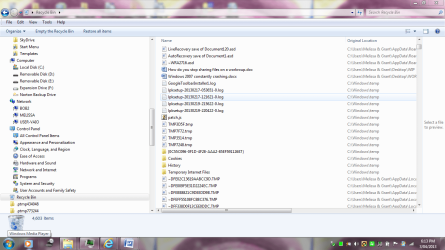 RECYCLE BIN TWO.PNG