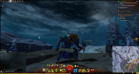 Gw2 2013-05-28 12-39-49-62.jpg