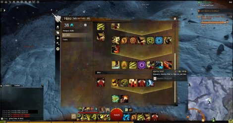 Gw2 2013-05-28 12-49-21-45.jpg
