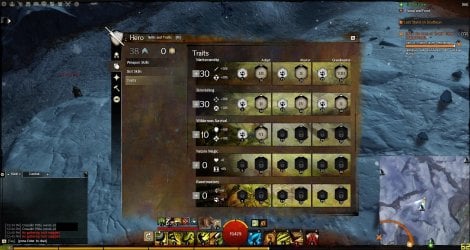 Gw2 2013-05-28 12-49-32-97.jpg