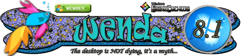 Wenda 8Forums beta 4.png
