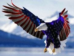 ameican eagle.jpg ameican eagle.jpg