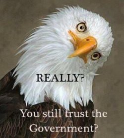 Really_Bald_Eagle.jpg