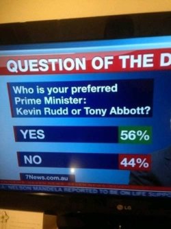 all of the above...jpg