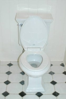 RTEmagicC_toilet.jpg.jpg