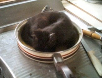 WhatsForTea1b.JPG